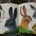 1965 the Bunny Book Vintage Children Kids - Etsy