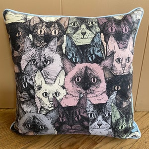Friendly Faces Cat Pillow with choice of piping color