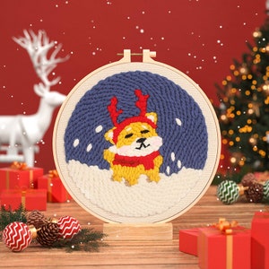 Christmas Punch Needle Kit Beginner, Punch Needles Start Kit for Adults ...