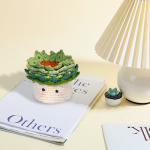 Succulent Plant Crochet Kit, Beginner Plant Crochet Kit, Flower Crochet Kit, Crochet Gifts, DIY Craft Kit Gift, Easy Starter Crochet Kit