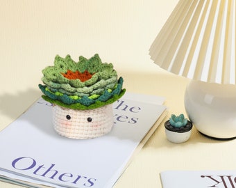 Succulent Plant Crochet Kit, Beginner Plant Crochet Kit, Flower Crochet Kit, Crochet Gifts, DIY Craft Kit Gift, Easy Starter Crochet Kit