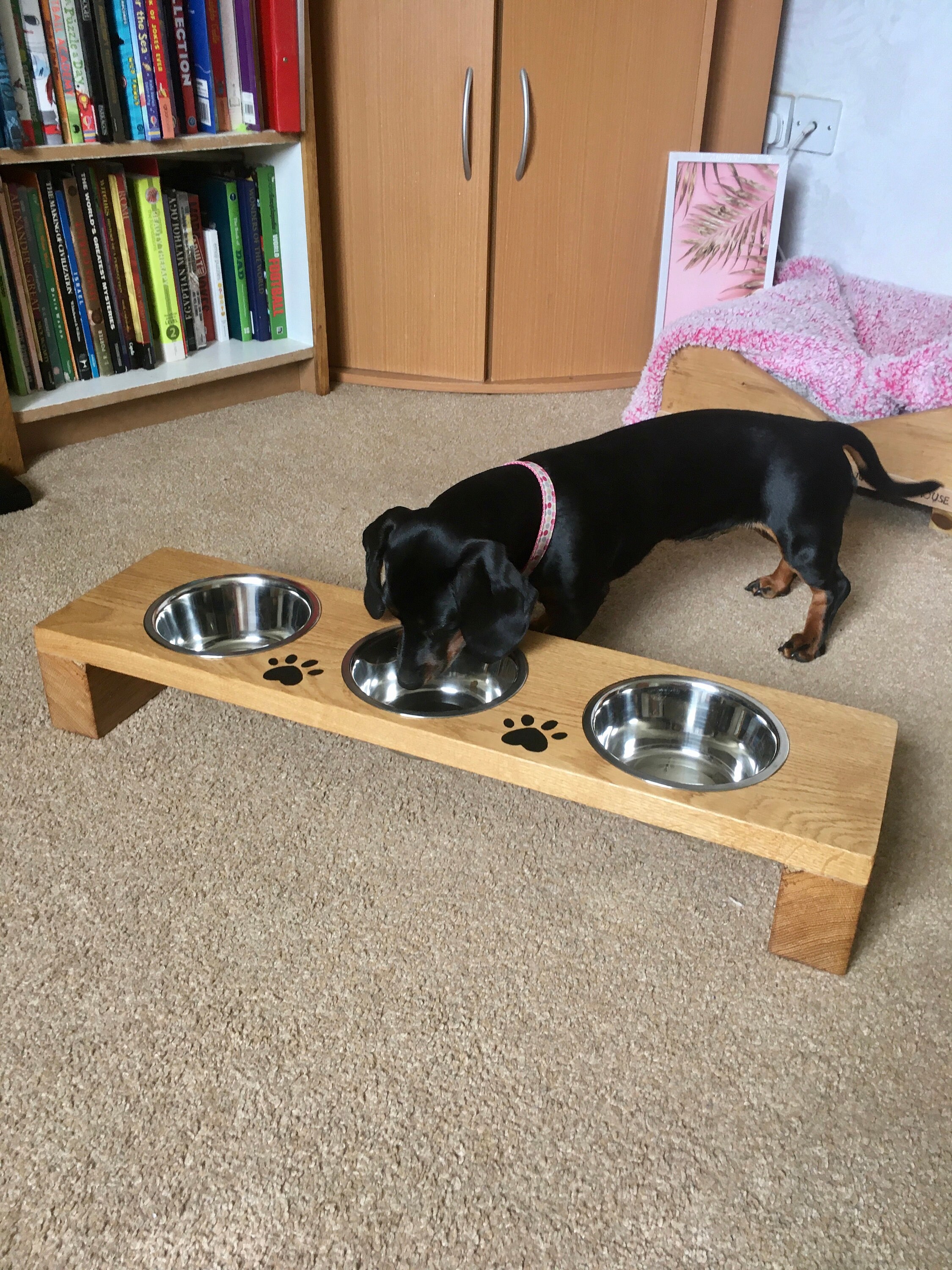 Pet feeding station Solid oak wood station Raised pet Etsy