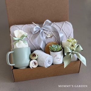 succulent gift box