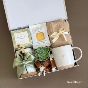 succulent gift box