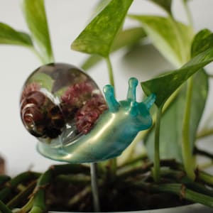 Snail Plant Stake Buddy