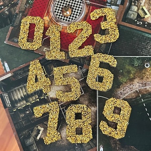 Può includere: Dieci numeri dorati con glitter, da 0 a 9, sono disposti su una superficie con motivo. I numeri sono realizzati in un materiale dorato scintillante e sono alti circa 5 cm.