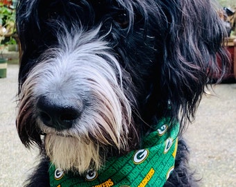 cheesehead hat for dogs