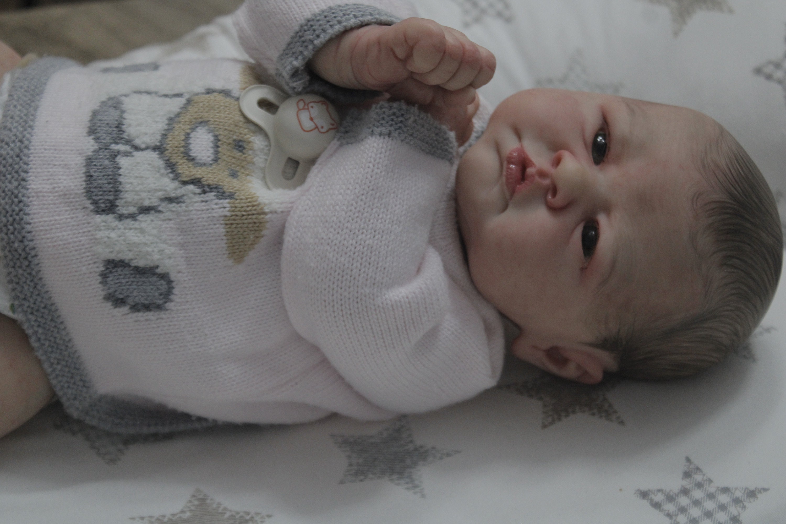 Reborn Baby very Realistic Etsy