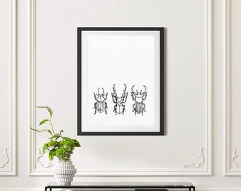 Beetle Line Art, Single Line Art, Insect Print, Minimalist Digital Print