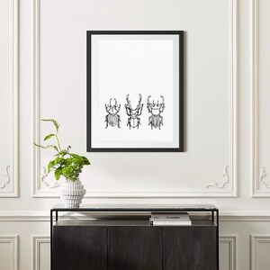Dessin au trait scarabée, dessin au trait, impression d&#39;insectes, impression numérique minimaliste