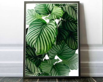 Calathea Orbifolia Digital Art, Botanical Art Print, Complex Form, Leaf Wall Art, Plant Artwork, Gallery Wall Addition