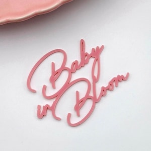 Baby in Bloom  | Mini Cake Charms | Bento Cake Charm | Mini Heart Cake Charm | Various Sizes & Colours