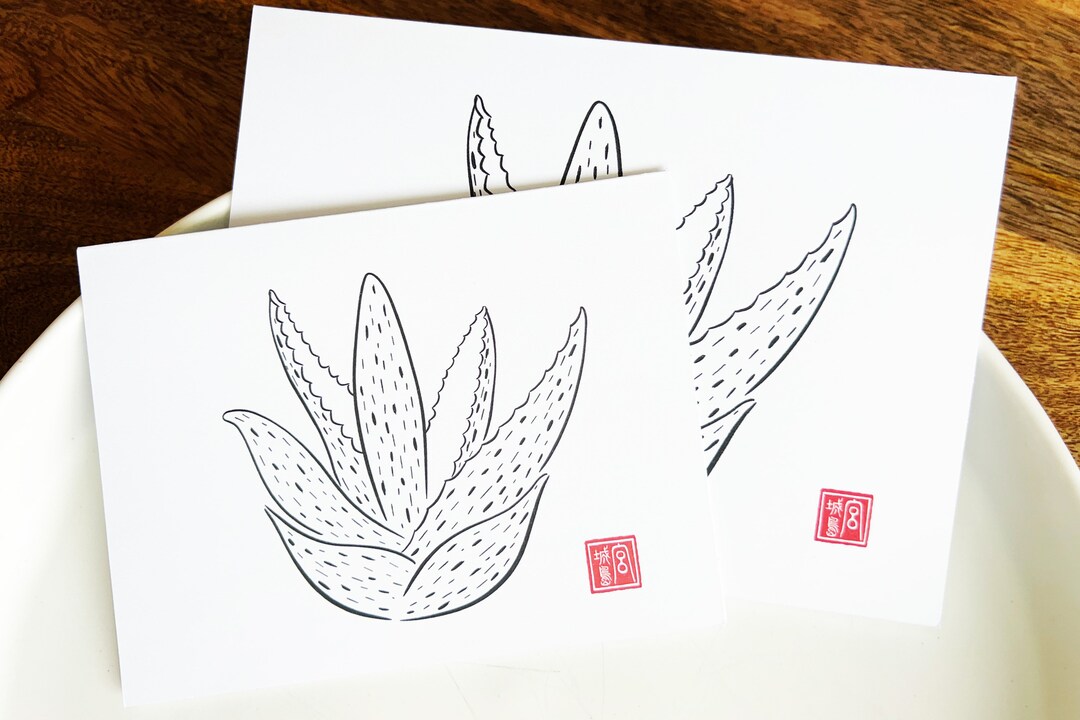 ALOE VERA - Line Drawing Note Cards With Artist Seal Stamp - Houseplant ...