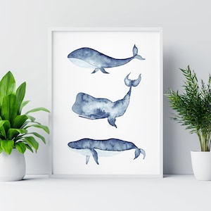 Poster Wale - Aquarell Illustration - Plakat A4/A3, Animal Watercolor