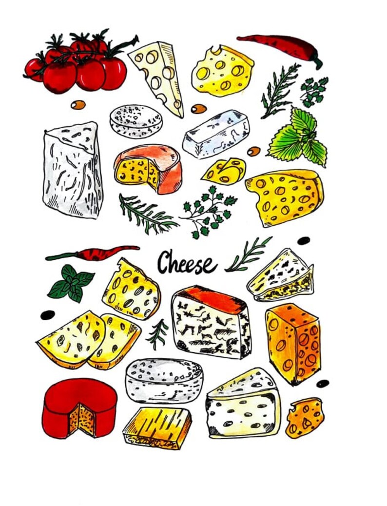 Cheese Art Print. Cheese Kitchen Wall Art Decor. Types of Etsy