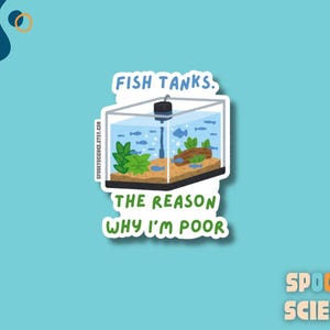The Reason Why I&#39;m Poor Fish Tank Sticker – Funny Reef Tank & Aquarium Decal
