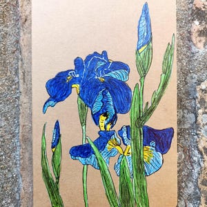 Handpainted notebook,illustrated sketchbok,lily notepad,unlined,journal book,flowers notebook a5,original present,ecofriendly blank book