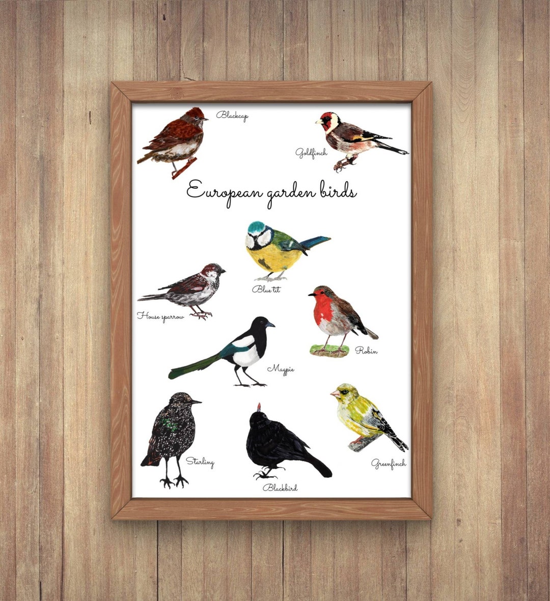 Birds Print,bird Wall Art,garden Birds Poster,european Bird Wall Print