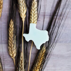 Cowboy | 3oz Handmade Artisan Texas Soy Wax Melts (4)