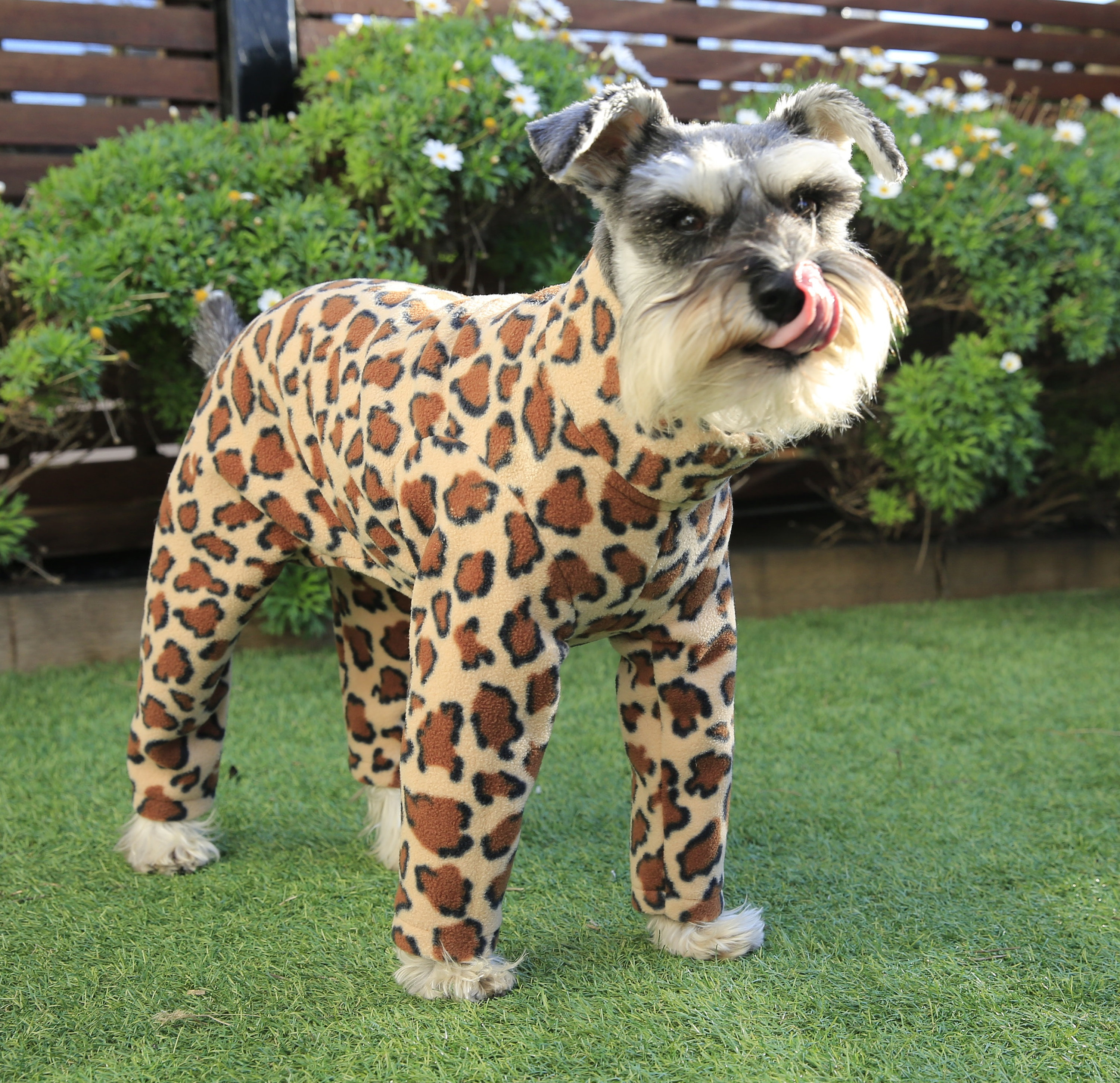 Leopard Dog Onesie, Dog Pyjamas for Small Dogs 
