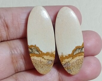 12x20 Mm Natural American Jasper Matching Pair Stone ~ American Pair Cabochon ~ Rectangle Shape ~ Flat Back ~ Loose Matching Stone
