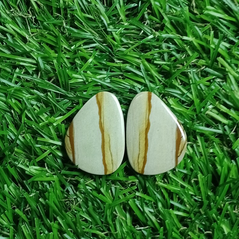 Best for jewellery Hendmed Stone AAA quality Natural Owyhee Picture Jasper piar Cabochon Healing Stones,