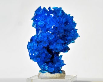 Chalcanthite - Grappe de cristal bleu Lab-grow - Pologne bleu comme azurite, fluorite, lapis, apatite, kyanite, benitoite