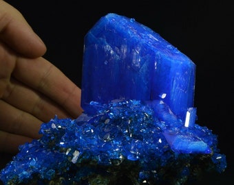 Chalcanthite BIG cristal bleu matrice Pologne spécimen comme azurite cuivre soufre