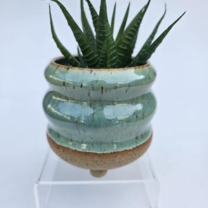 May include: A small, round, ceramic planter with a glossy, light green glaze featuring subtle vertical brown streaks. The base is unglazed, textured, and tan-colored. A spiky, dark green succulent plant is potted inside the container.