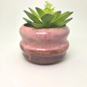 May include: A small, pink ceramic planter with a green succulent plant. The planter has a unique, rounded shape with a textured surface and a dark brown rim. The succulent has multiple green leaves. The background is white.