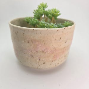 May include: A small, handmade ceramic planter with a speckled, off-white glaze and subtle pink hues. The planter holds a vibrant green succulent plant. The pot has a rounded shape and a slightly textured surface, ideal for a desk or windowsill.