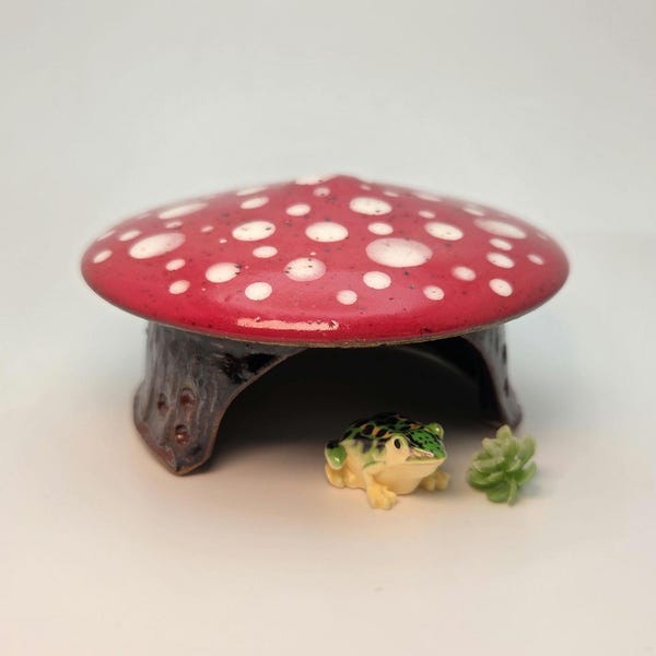 Small Toadstool House