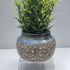Gift for Plant Lover | Handmade Blue Succulent Planter | Cute Polka Dot Ceramic Pot with Drainage
