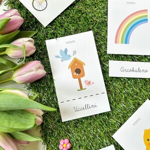 Cartes flash de printemps, cartes de nomenclature, cartes à thème, fichier numérique, imprimable, téléchargement instantané, cartes Montessori, enfants