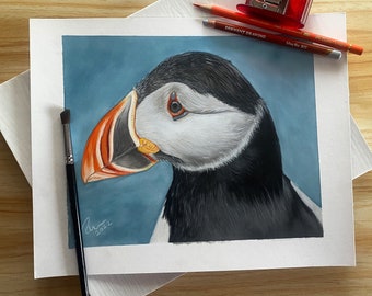 Puffin Drawing - Original Art - Colour Pencil - Print - Fine Art