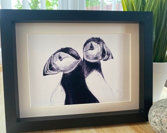 Puffin Print of Drawing - Two Puffins - Sea Bird Sketch Sketch - Signed Limited Edition Print - Framed or Mounted