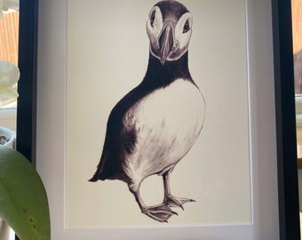 Puffin Sketch (Giclee Print) - Sea Bird Drawing - Signed Limited Edition Print - Unframed - A4