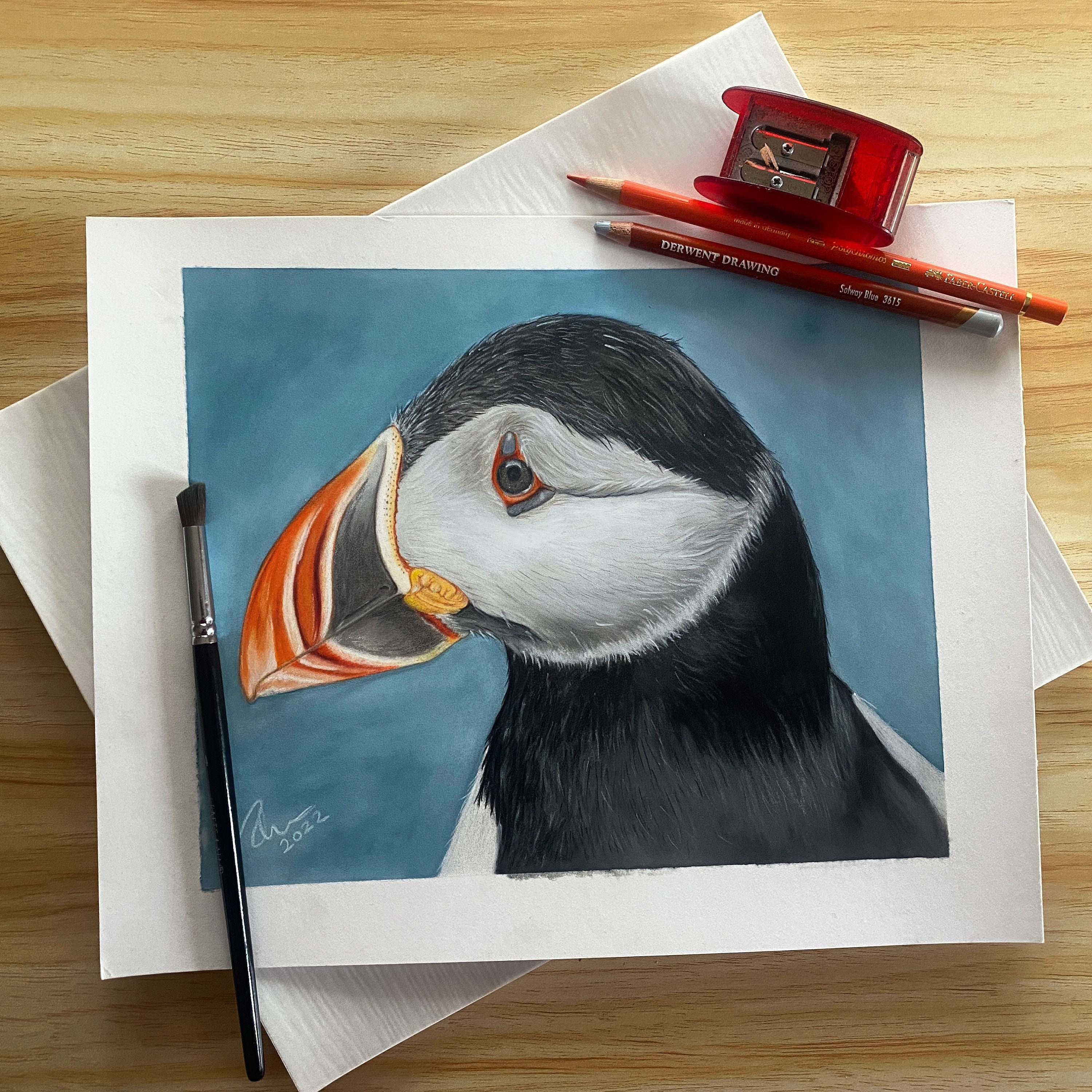 Drawing an Atlantic Puffin with David Allen Sibley  Looking for an  activity to do at home this weekend Try drawing an Atlantic Puffin David  Sibley shows you how in this soothing