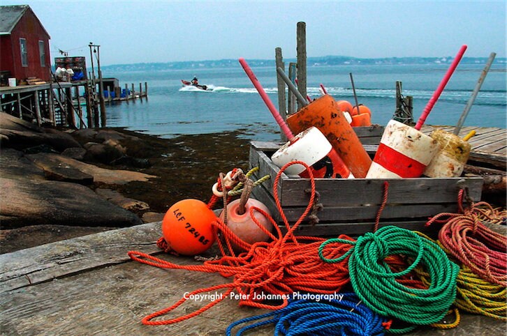Repurposed Fishing Rope - Authentic Maine Lobster Line – Maine