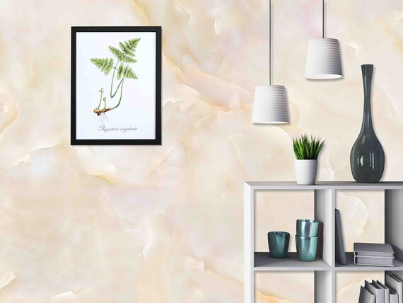 Custom Size Wallpaper - High Definition Glossy Marble Wallpaper - Peel and Stick Wall Decal - Self Adhesive or Pre-Pasted