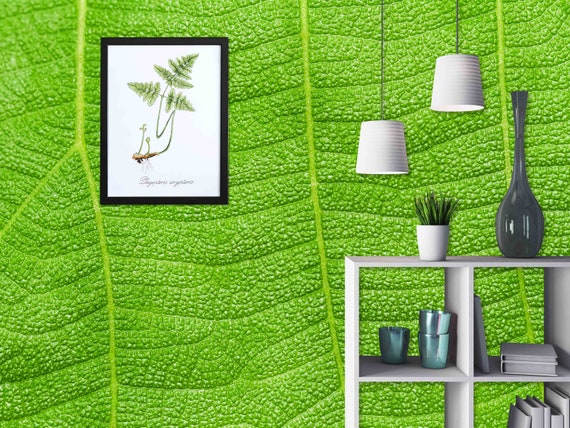 Custom Size Wallpaper - Nature Leaves Wallpaper - Peel and Stick Wall Decal - Self Adhesive or Pre-Pasted
