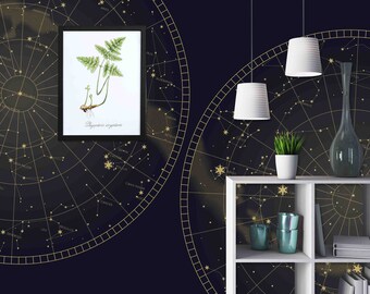 Custom Size Wallpaper - Star Constellations Southern and Northern Map Wallpaper - Peel and Stick Wall Decal - Self Adhesive or Pre-Pasted