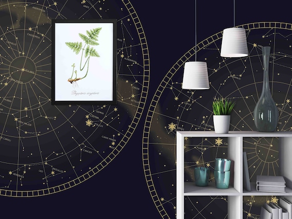 Custom Size Wallpaper - Star Constellations Southern and Northern Map Wallpaper - Peel and Stick Wall Decal - Self Adhesive or Pre-Pasted