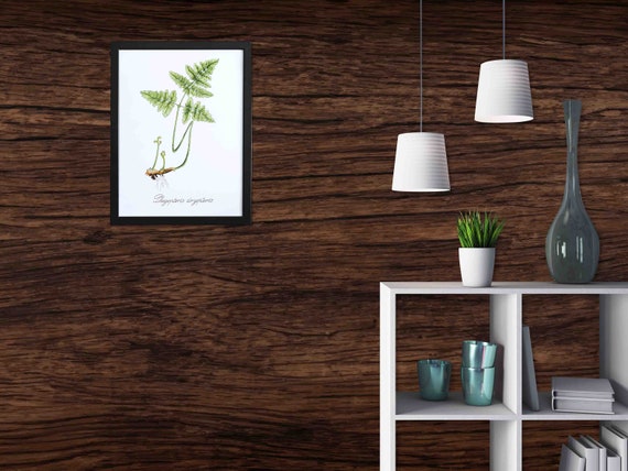 Custom Size Wallpaper - Dark Brown Wooden Wallpaper - Peel and Stick Wall Decal - Self Adhesive or Pre-Pasted