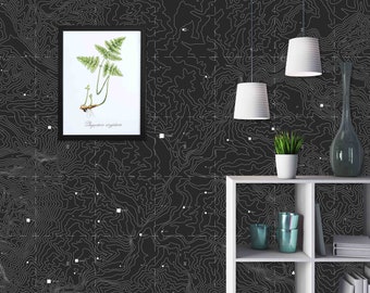 Dark Topographic Map Wall Mural - Custom Size, Peel and Stick