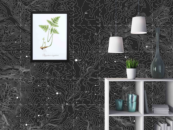 Dark Topographic Map Wall Mural - Custom Size, Peel and Stick