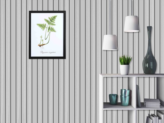 White Grey Wood Slat Wallpaper - Custom Size, Peel and Stick, Removable