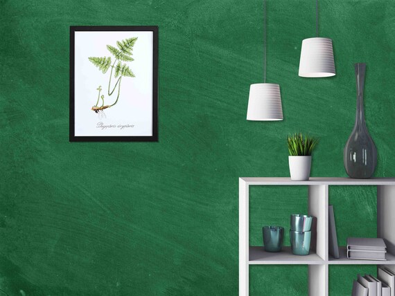 Custom Size Wallpaper - Green Grunge Chalkboard Wallpaper - Peel and Stick Wall Decal - Self Adhesive or Pre-Pasted - Removable Wallpaper