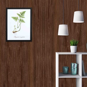 May include: A framed botanical illustration of a fern with the text "Polypodium vulgare" printed below the image. The frame is black and the image is on a white background. The frame is hanging on a brown wood wall. There is a white shelf with a vase, a plant, and a few glasses on it.