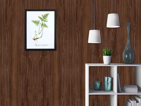 Walnut Wood Wallpaper: Custom Size, Peel and Stick